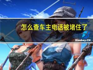 怎么查车主电话被堵住了（怎么查车主电话）