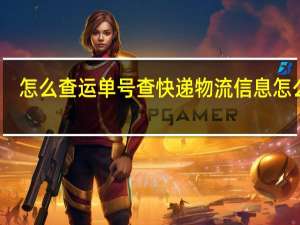 怎么查运单号 查快递物流信息怎么查