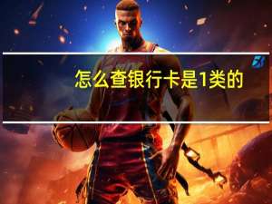 怎么查银行卡是1类的