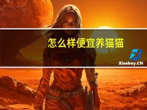 怎么样便宜养猫猫