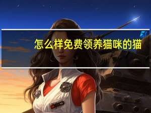 怎么样免费领养猫咪的猫