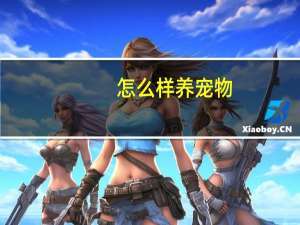 怎么样养宠物