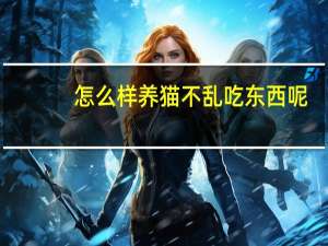怎么样养猫不乱吃东西呢