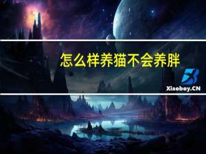 怎么样养猫不会养胖