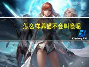 怎么样养猫不会叫唤呢