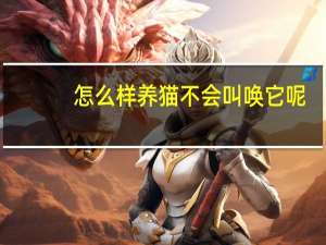 怎么样养猫不会叫唤它呢