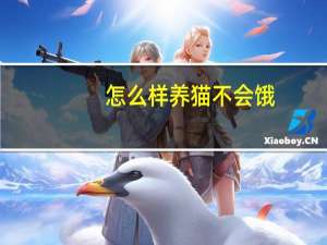 怎么样养猫不会饿