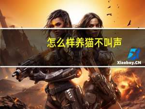 怎么样养猫不叫声