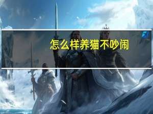 怎么样养猫不吵闹