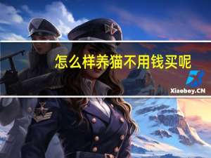 怎么样养猫不用钱买呢