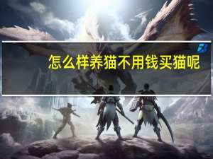 怎么样养猫不用钱买猫呢