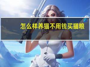 怎么样养猫不用钱买猫粮