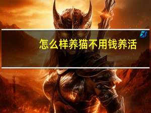 怎么样养猫不用钱养活