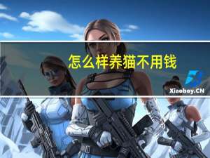 怎么样养猫不用钱