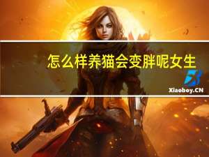 怎么样养猫会变胖呢女生