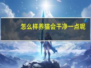 怎么样养猫会干净一点呢