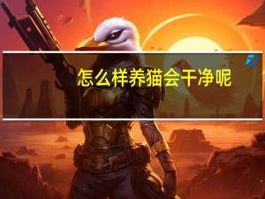 怎么样养猫会干净呢