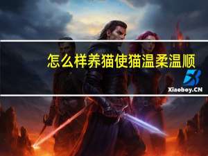 怎么样养猫使猫温柔温顺