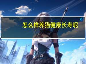 怎么样养猫健康长寿呢