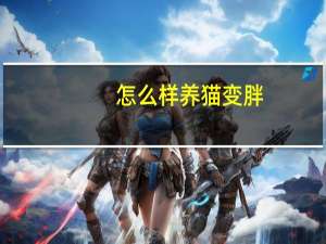 怎么样养猫变胖