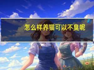 怎么样养猫可以不臭呢