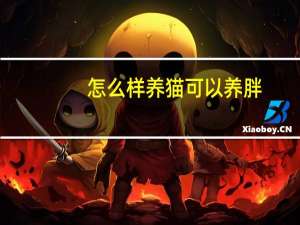 怎么样养猫可以养胖