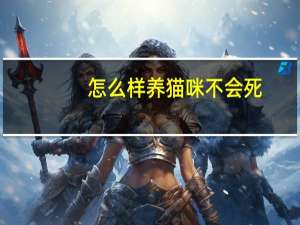 怎么样养猫咪不会死