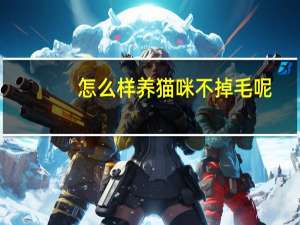 怎么样养猫咪不掉毛呢