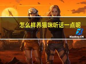 怎么样养猫咪听话一点呢