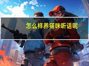 怎么样养猫咪听话呢