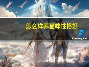 怎么样养猫咪性格好