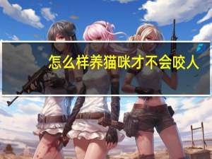 怎么样养猫咪才不会咬人