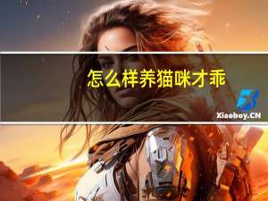 怎么样养猫咪才乖