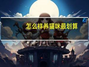 怎么样养猫咪最划算