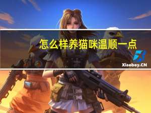 怎么样养猫咪温顺一点