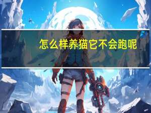怎么样养猫它不会跑呢