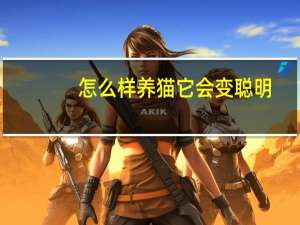 怎么样养猫它会变聪明