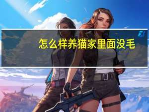 怎么样养猫家里面没毛
