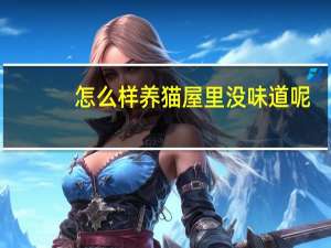 怎么样养猫屋里没味道呢