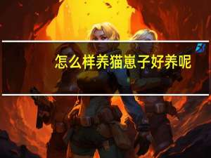 怎么样养猫崽子好养呢