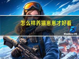 怎么样养猫崽崽才好看