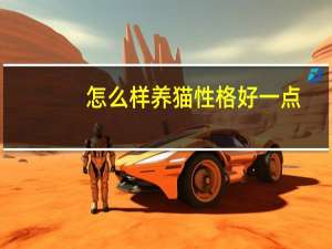 怎么样养猫性格好一点
