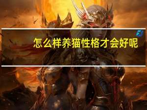 怎么样养猫性格才会好呢