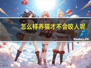 怎么样养猫才不会咬人呢