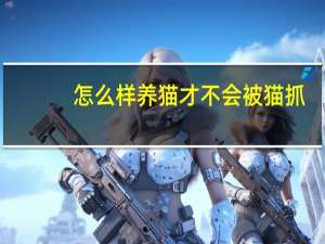 怎么样养猫才不会被猫抓