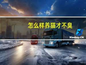 怎么样养猫才不臭