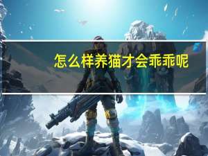 怎么样养猫才会乖乖呢