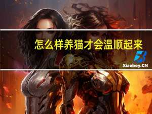 怎么样养猫才会温顺起来