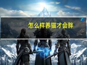 怎么样养猫才会胖