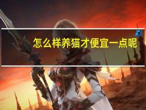 怎么样养猫才便宜一点呢